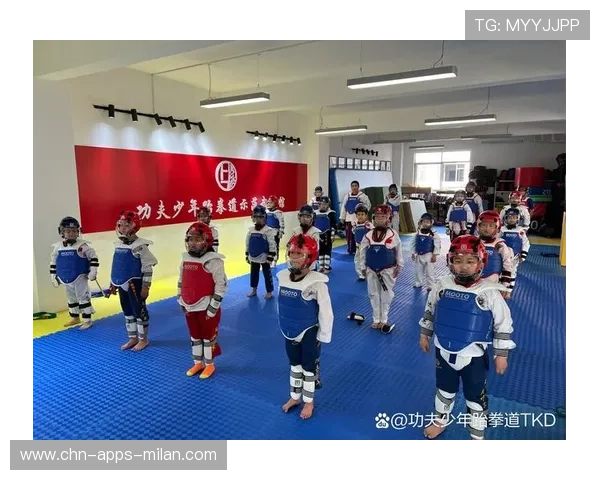 武术散打与跆拳道交流赛激发新的技术融合趋势