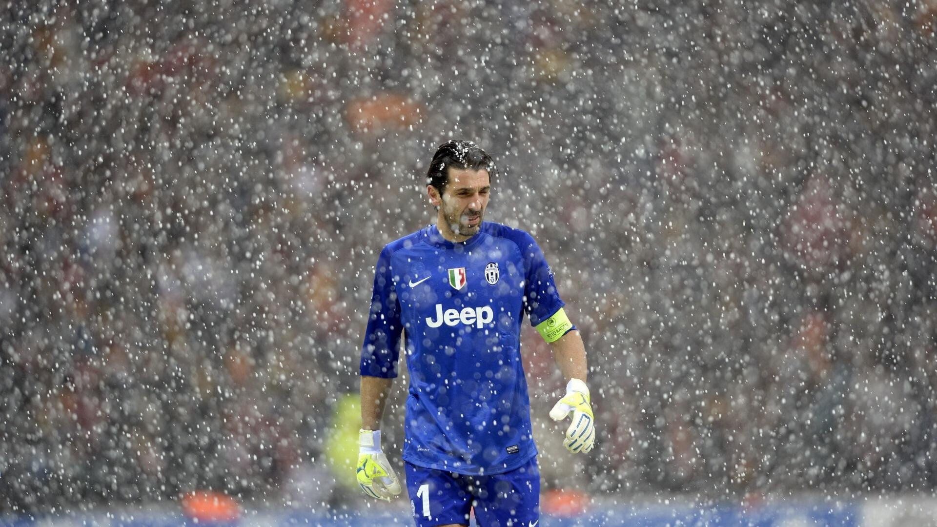 仰泳赛场比利时选手节奏精准，仰泳 backstroke 2017