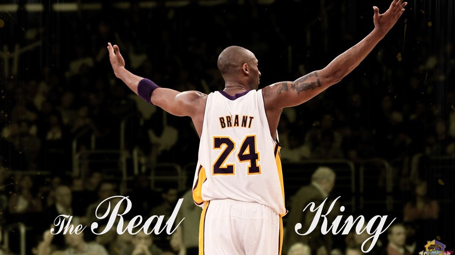 仰泳后程发力效率明显增强，仰泳出发动作